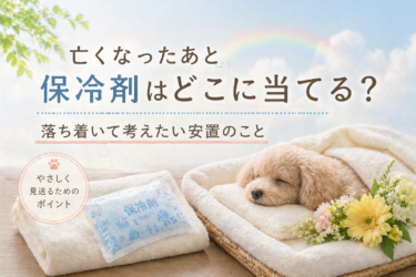 亡くなったあと、保冷剤はどこに当てる？落ち着いて考えたい安置のこと
