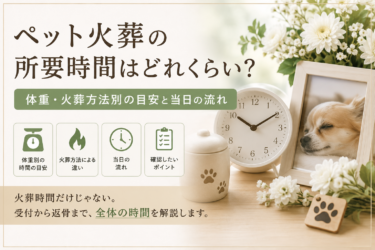 ペット火葬の所要時間はどれくらい？体重・火葬方法別の目安と当日の流れ