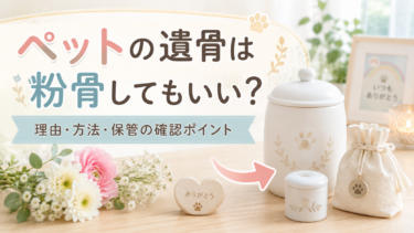 ペットの遺骨は粉骨してもいい？粉骨する理由・方法・保管の確認ポイント